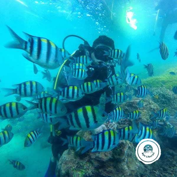 Bali-Diving