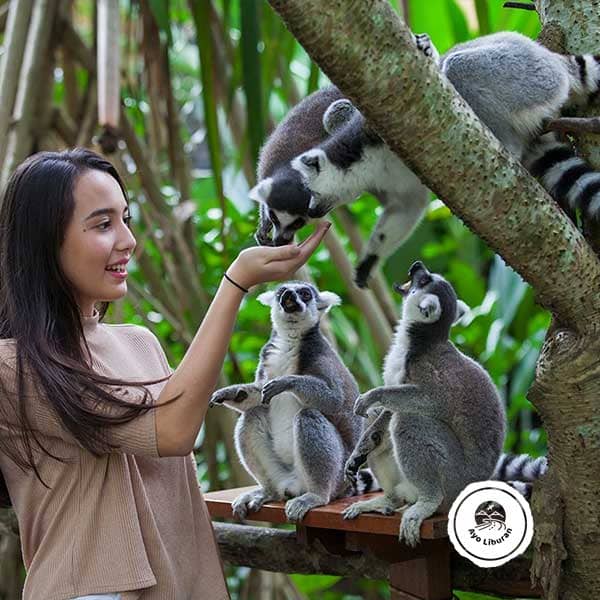 Bali-Zoo-Park