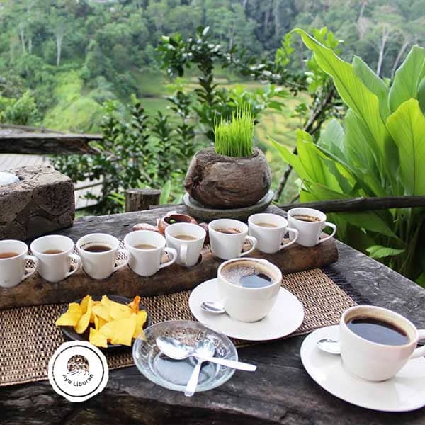 Luwak-Coffee
