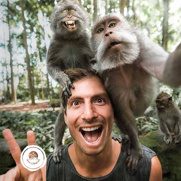 Monkey-Selfie-Ubud-Monkey-Forest