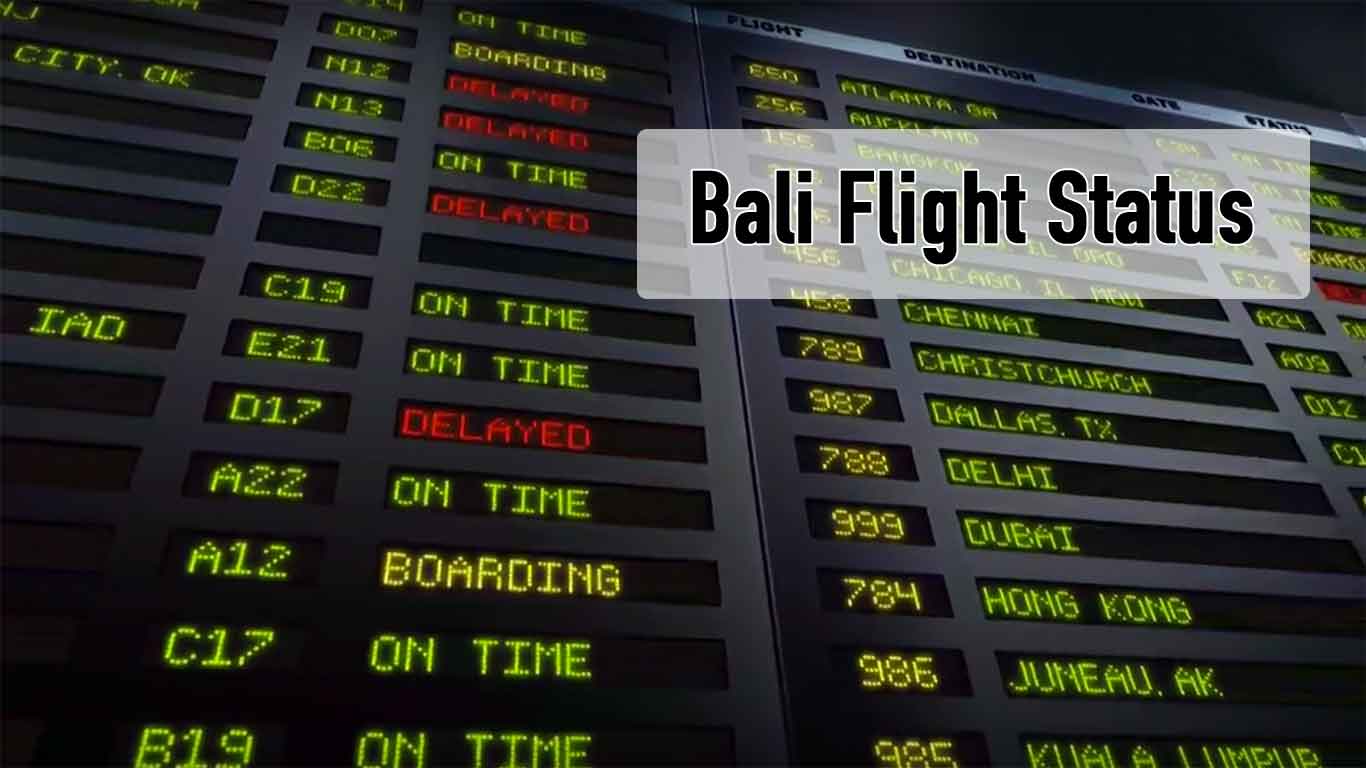 Bali Airport Flight Status
