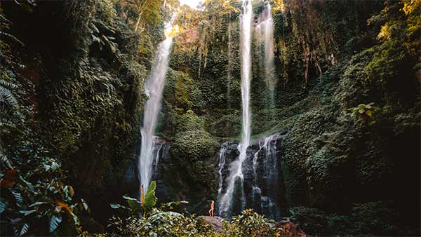 Read more about the article Sekumpul Waterfall Trekking