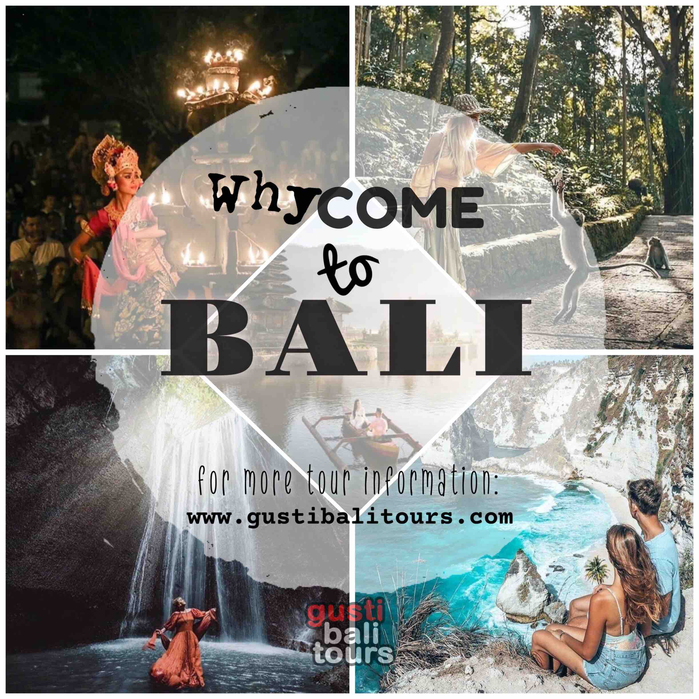 WhyCome to Bali